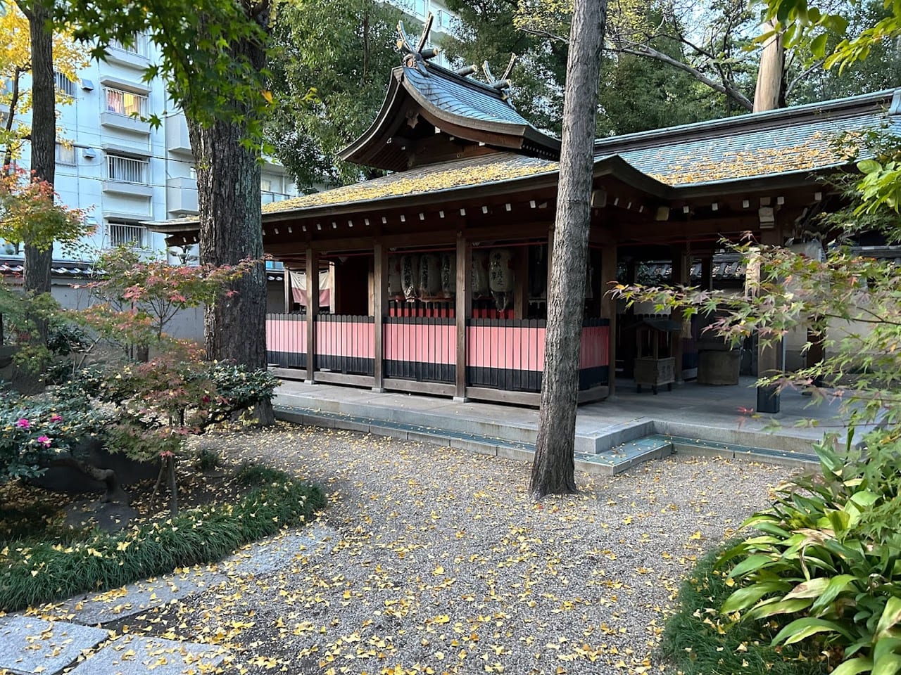 杭全神社2022.11.27⑩