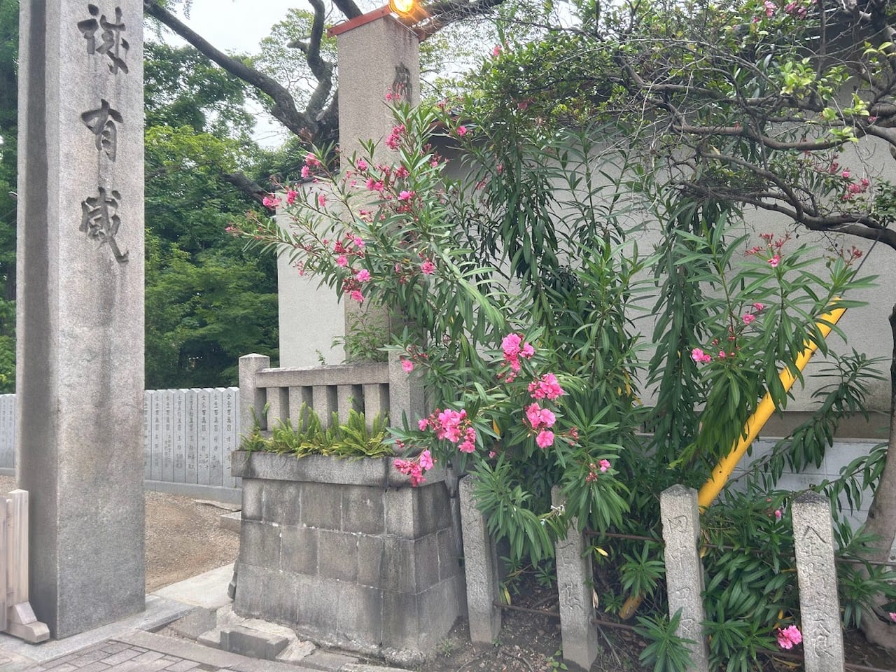 杭全神社外観2