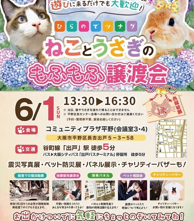 ねことうさぎのもふもふ譲渡会お知らせ
