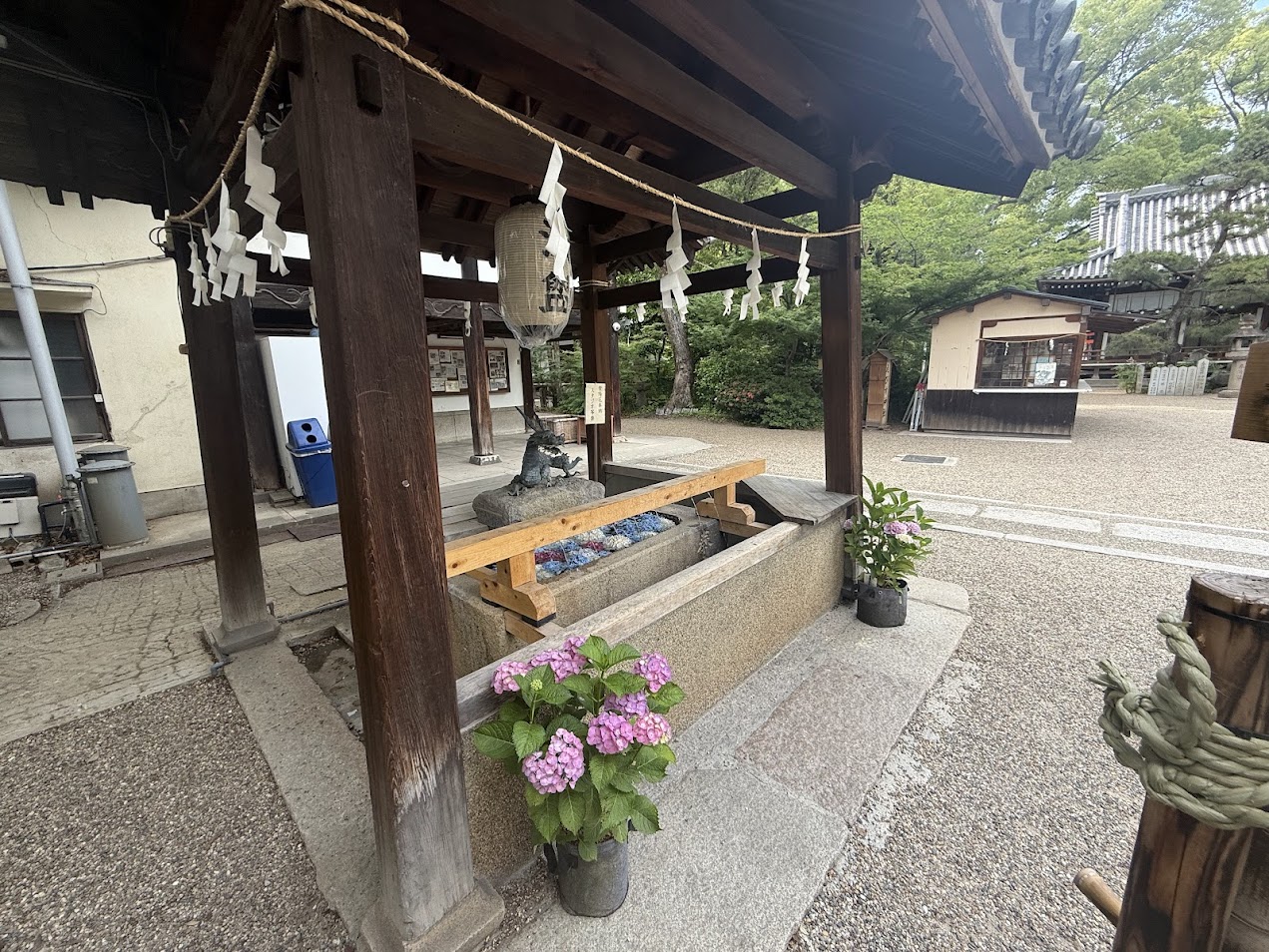 杭全神社手水舎2025.6