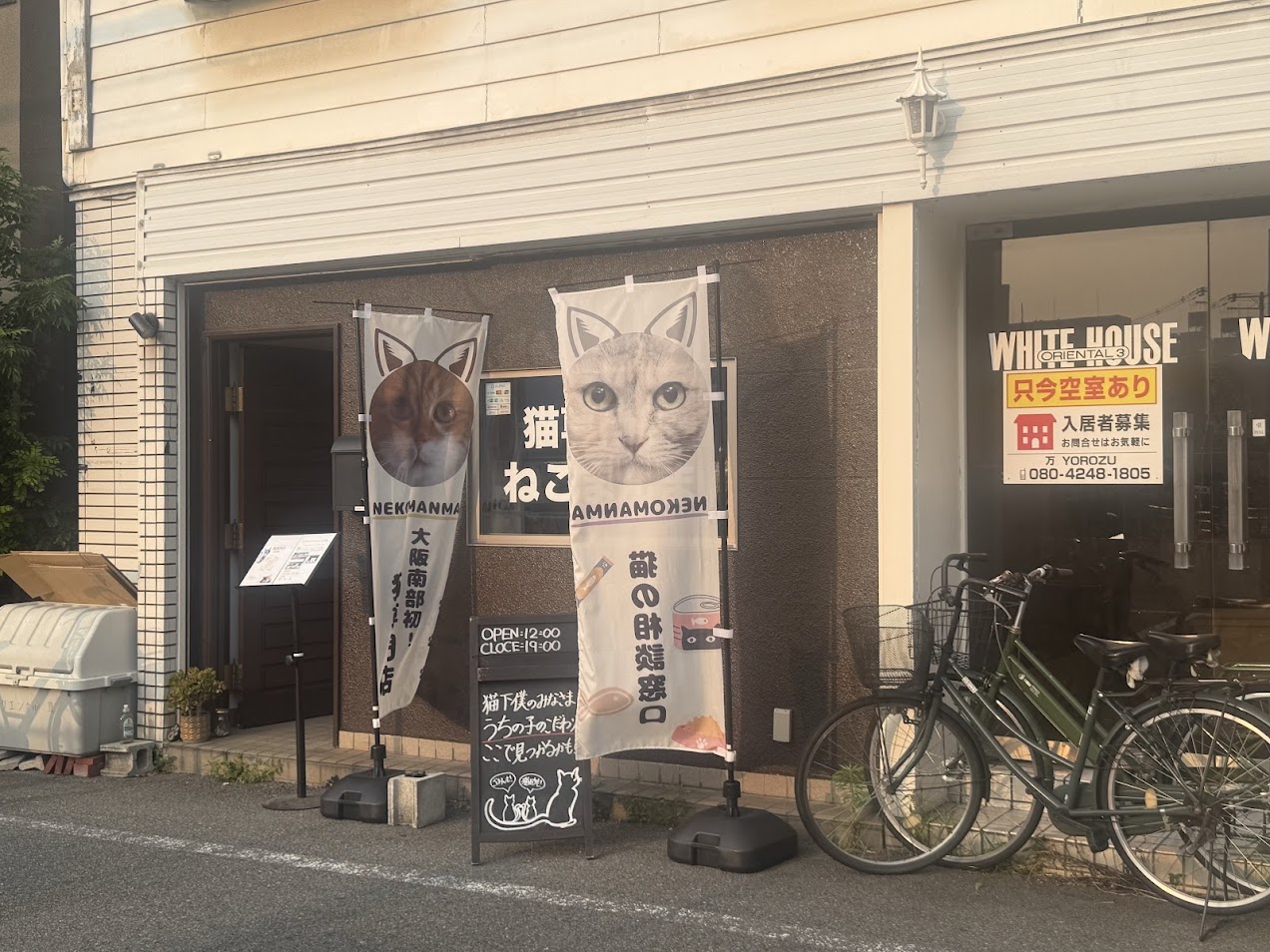 猫まんま外観1