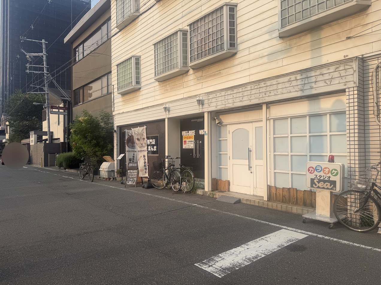 猫まんま外観2