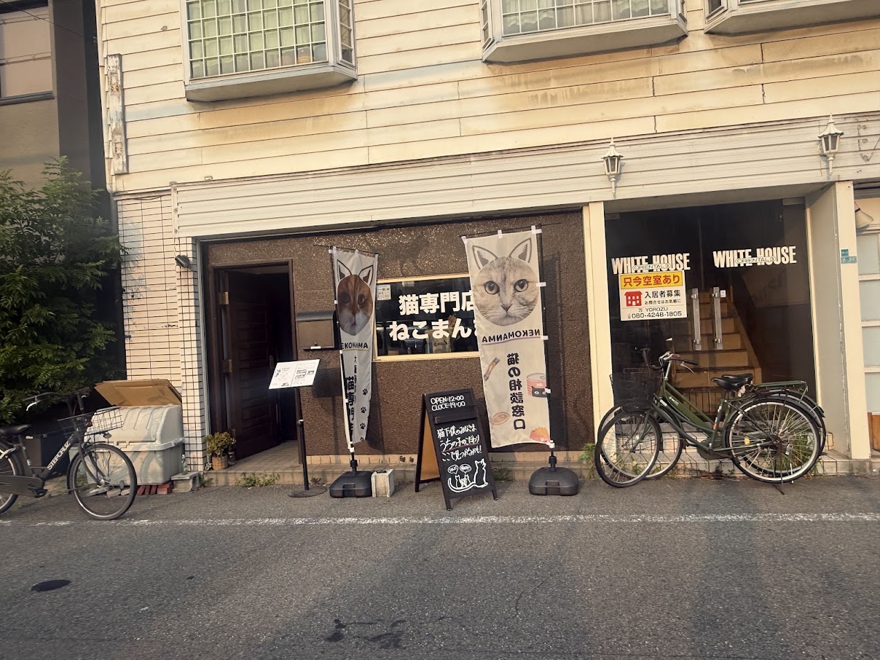 猫まんま外観4