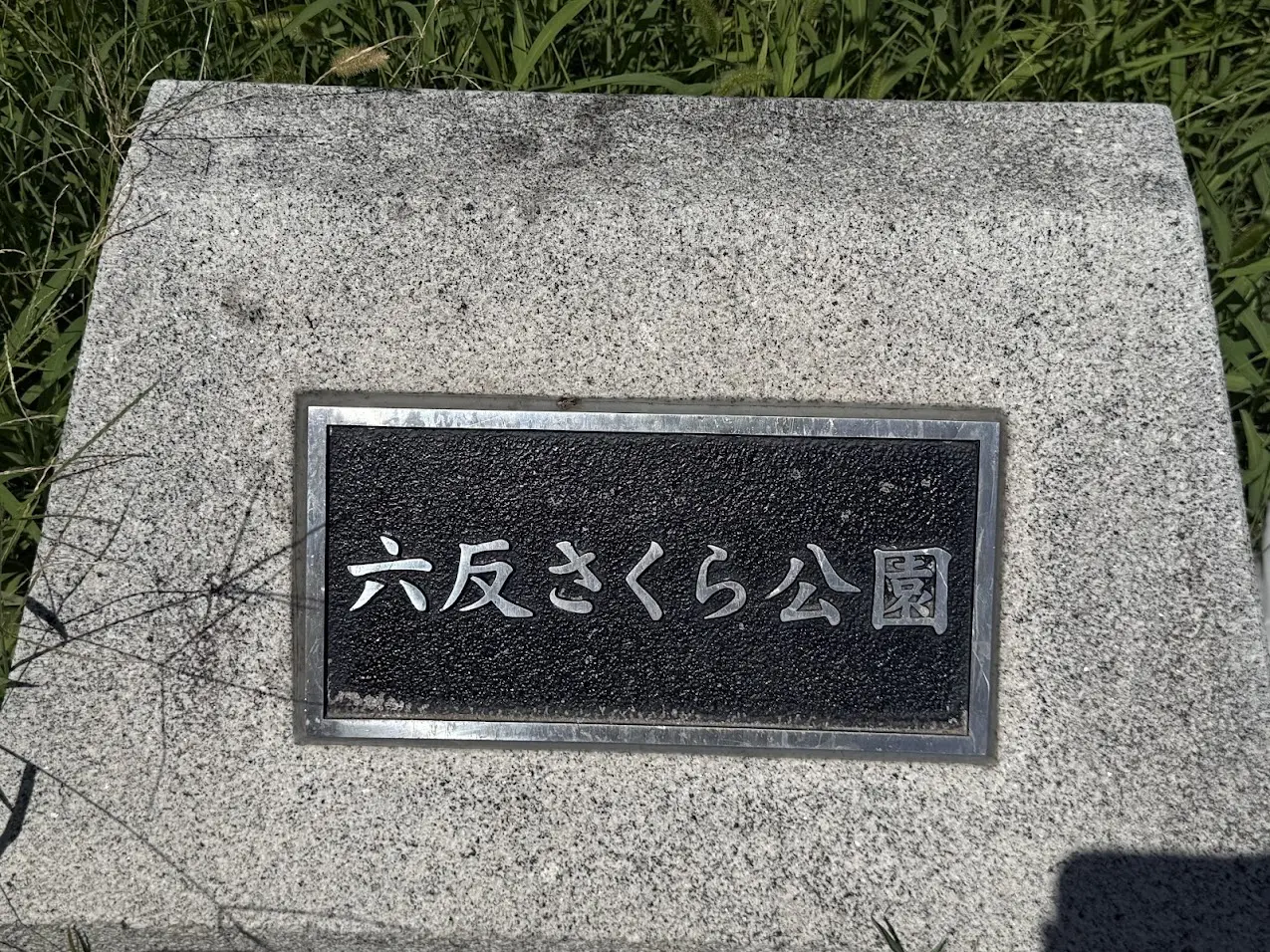 六反さくら公園外観1