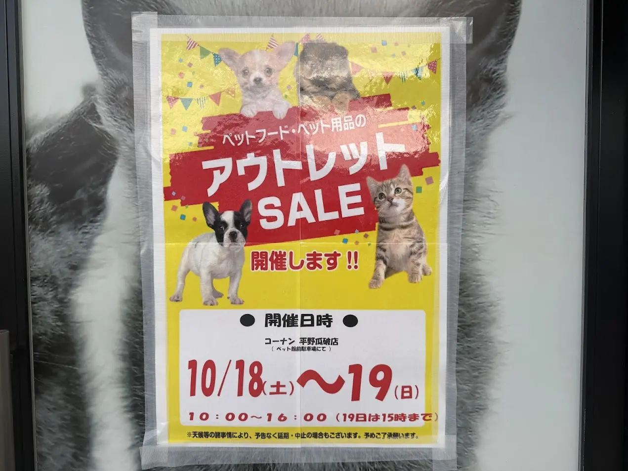 ペットプラザ平野瓜破店アウトレットセールお知らせ
