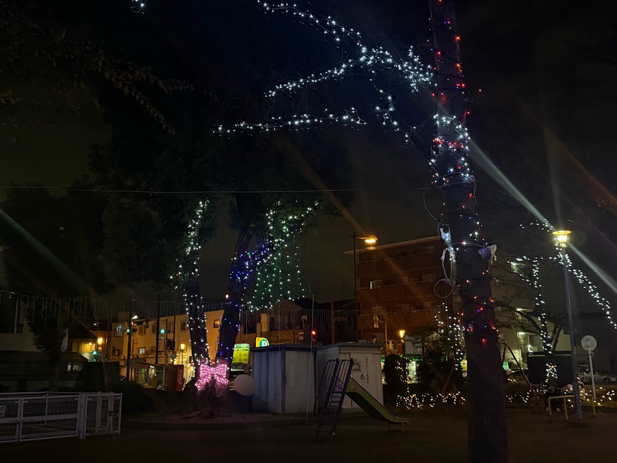 平野南イブ・プラットイルミネーション1