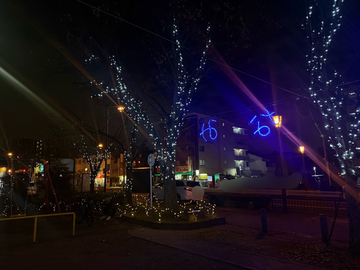 平野南イブ・プラットイルミネーション2