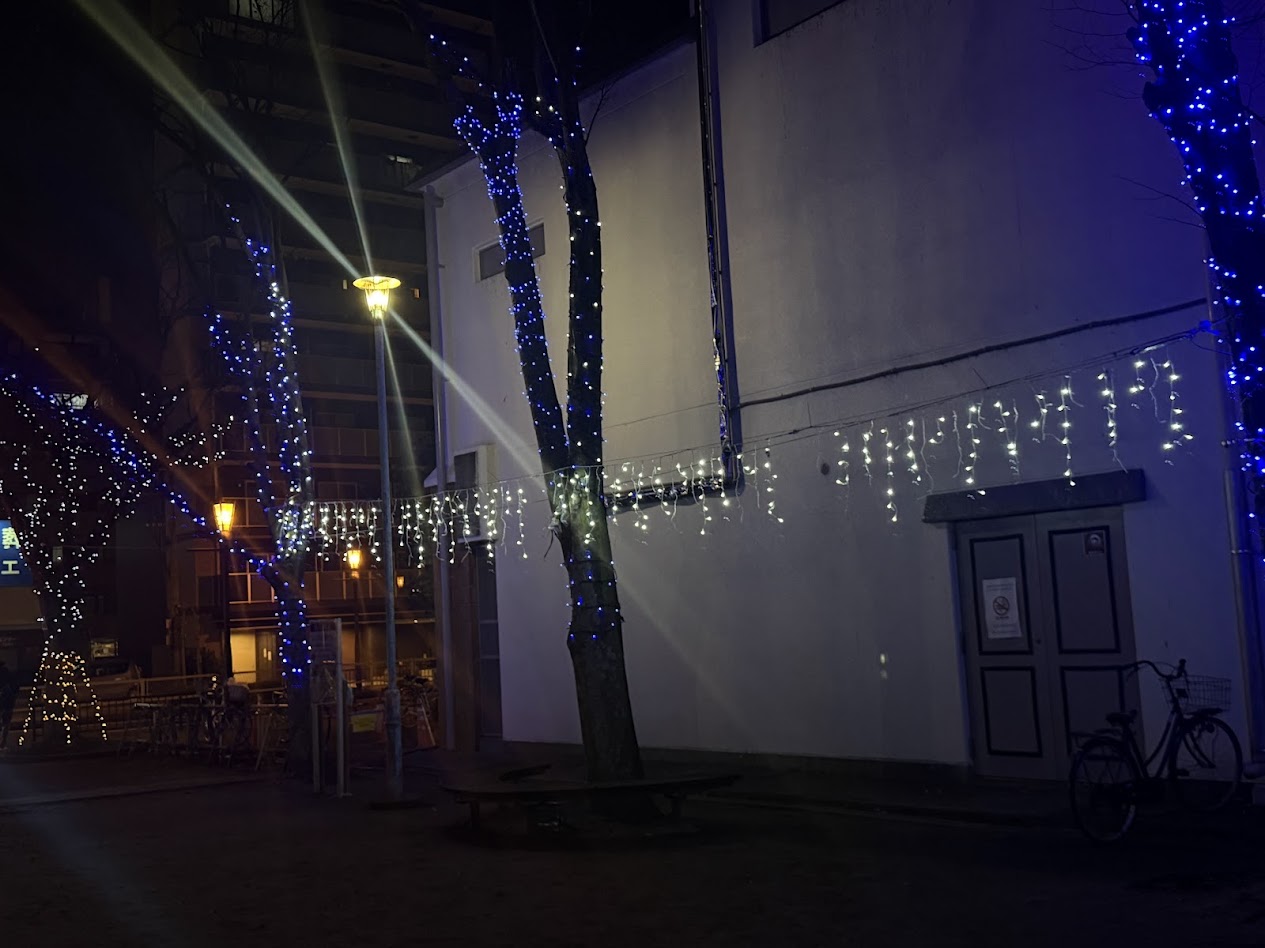 平野南イブ・プラットイルミネーション3