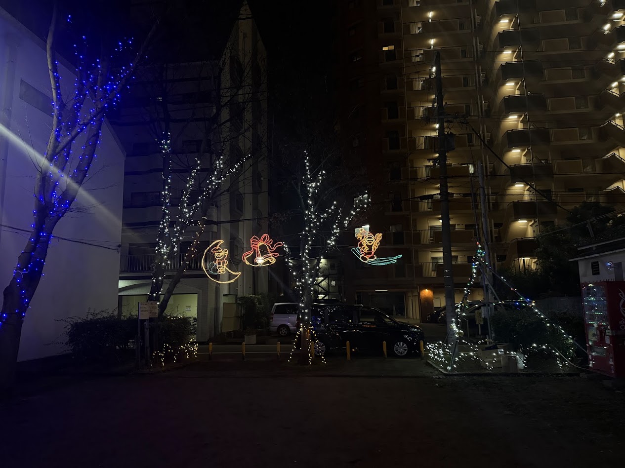 平野南イブ・プラットイルミネーション4