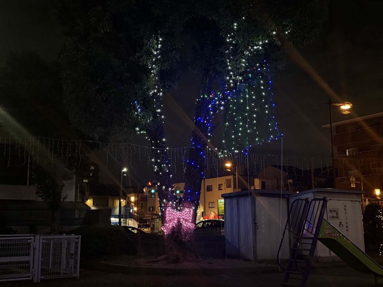 平野南イブ・プラットイルミネーション5