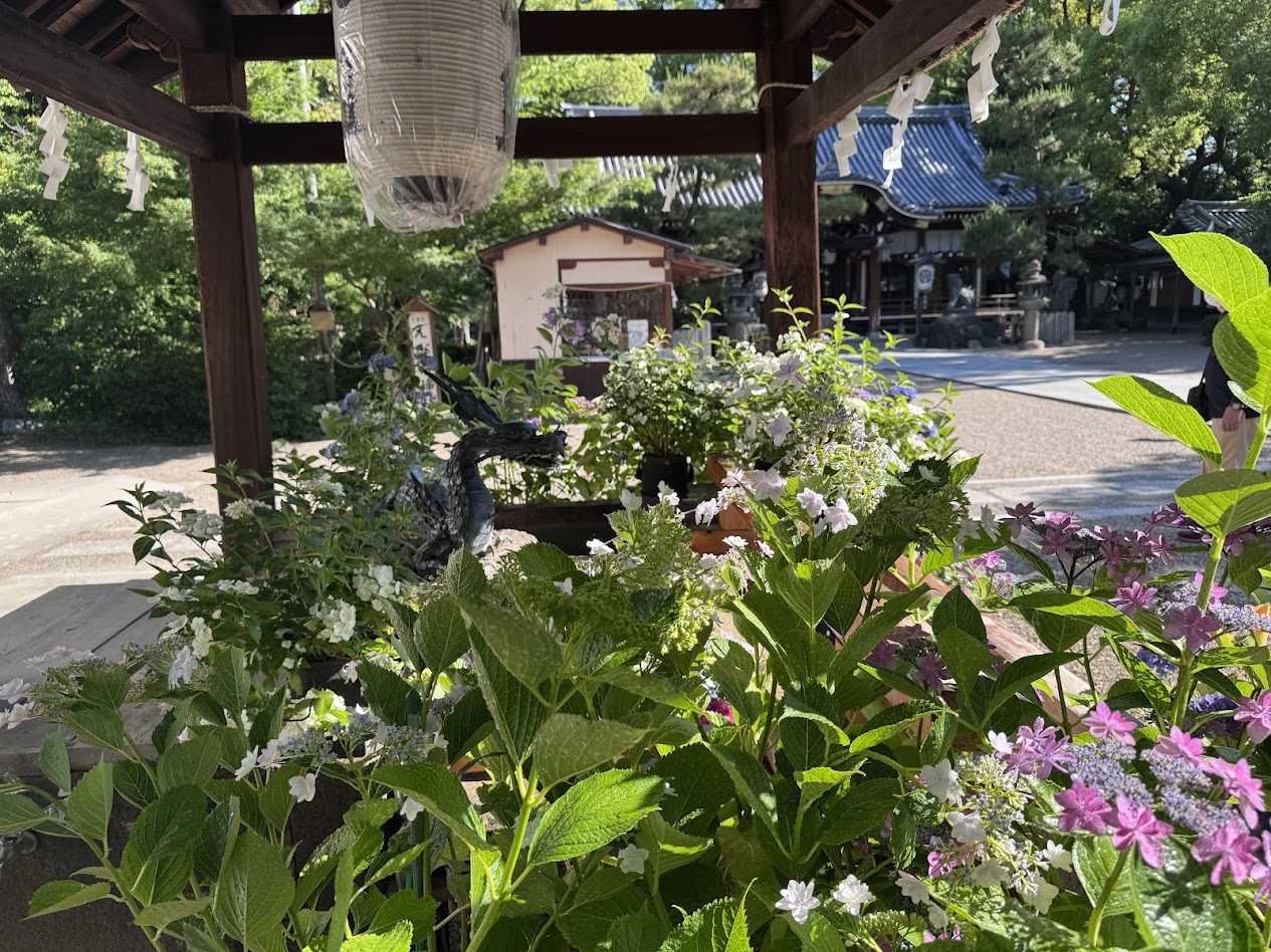 杭全神社手水舎2