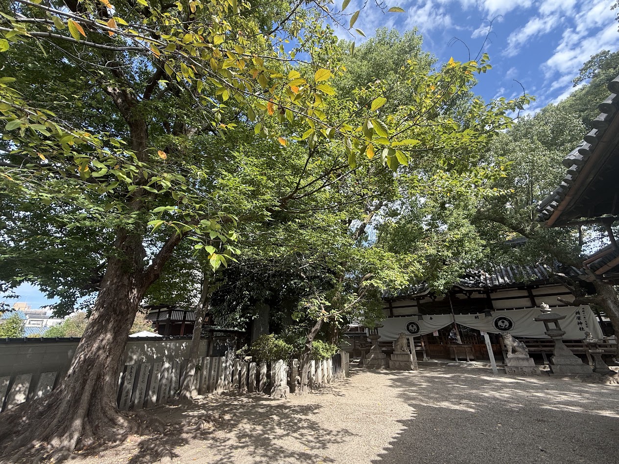 式内楯原神社1