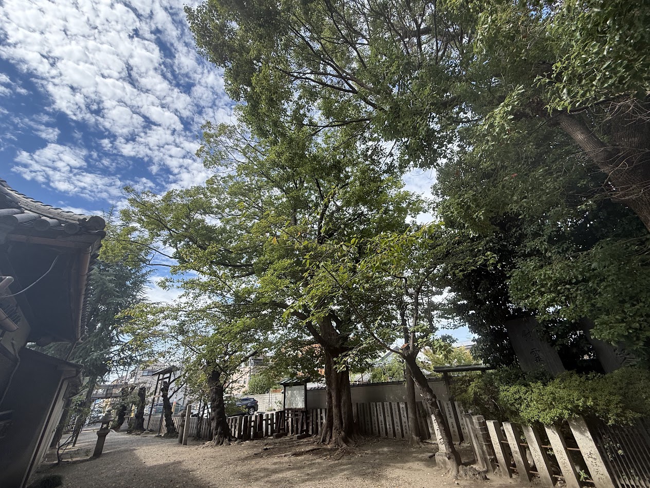 式内楯原神社境内2